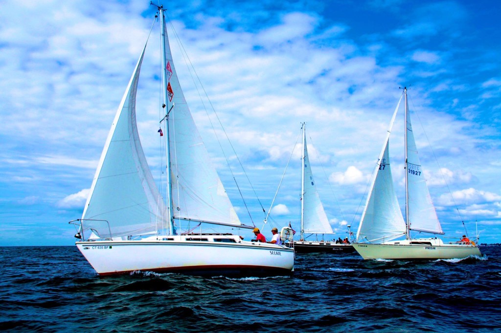 selkie_starting_line